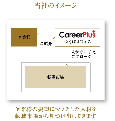 キャリアプラス つくばオフィス のキャリア採用イメージ