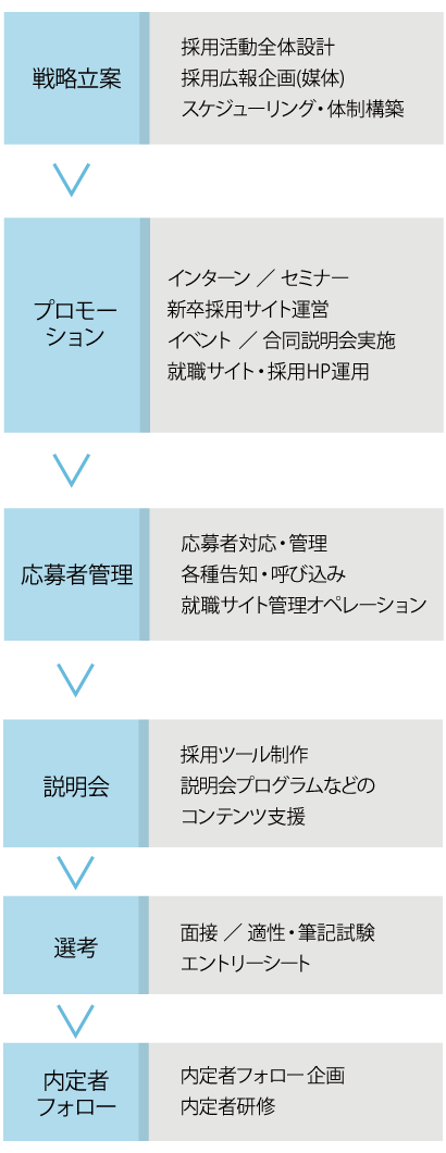 キャリプラスつくばオフィスの新卒採用の流れ